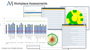 Samples of assessments to use for qualitative progress measurement