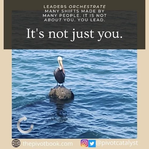 It's not about you. You lead. Pelican on a rock.