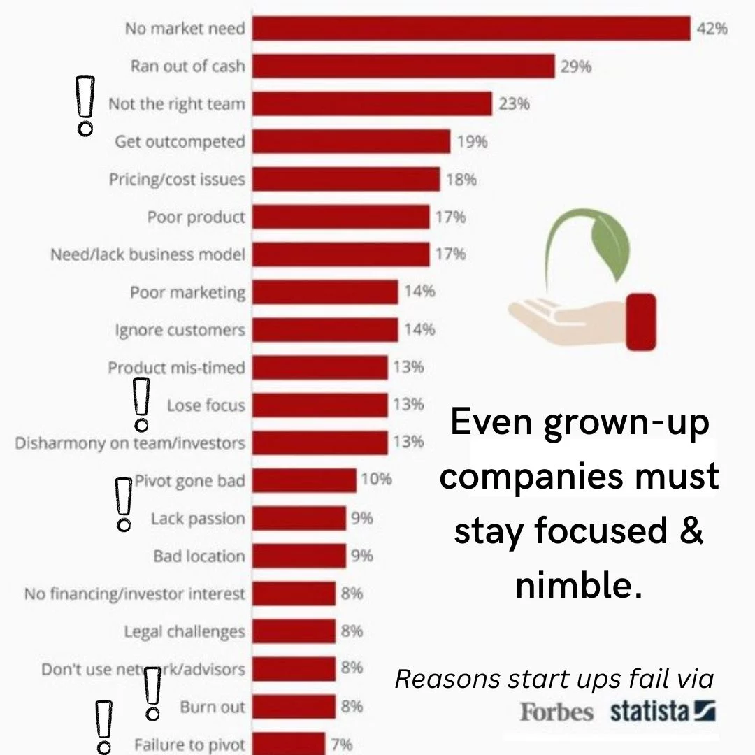 Reasons leaders fail